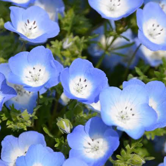 恋愛での出会いについて考える枠