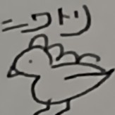 ニワ🐓