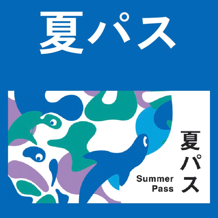 夏パス