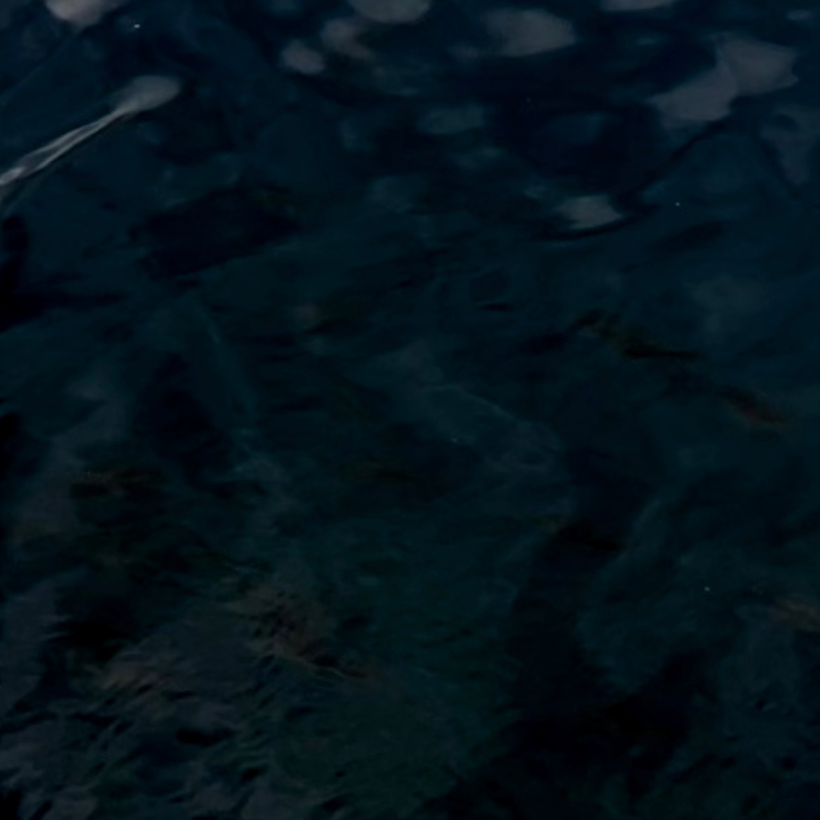 乳幼児のお世話手伝い