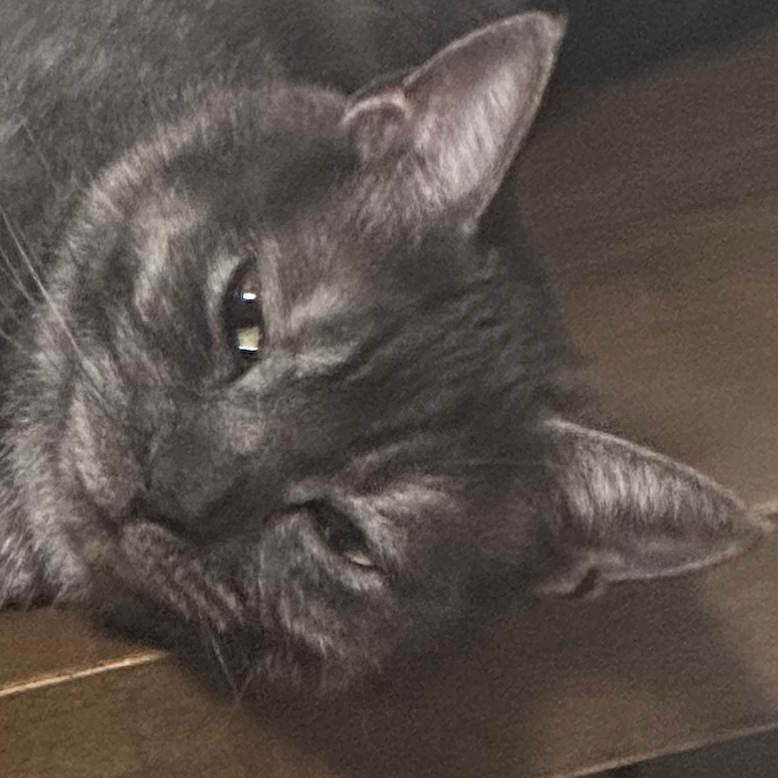 別に気にならん