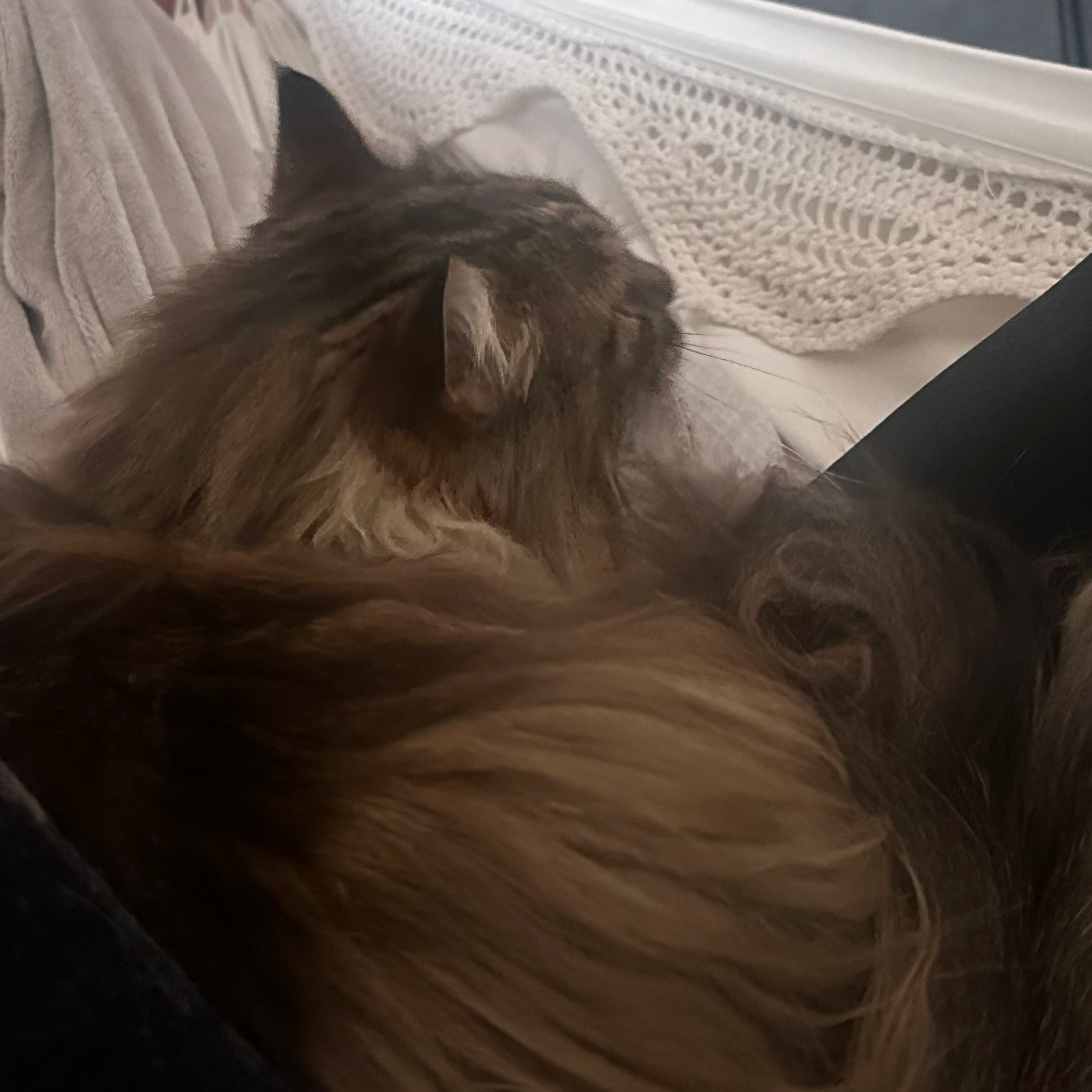 人の服なんて見てない