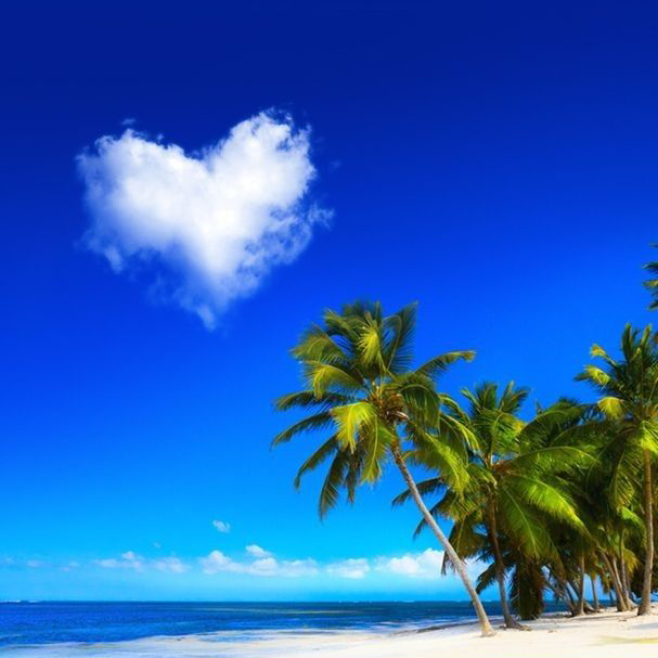 海じゃ！🌊🐬🏝