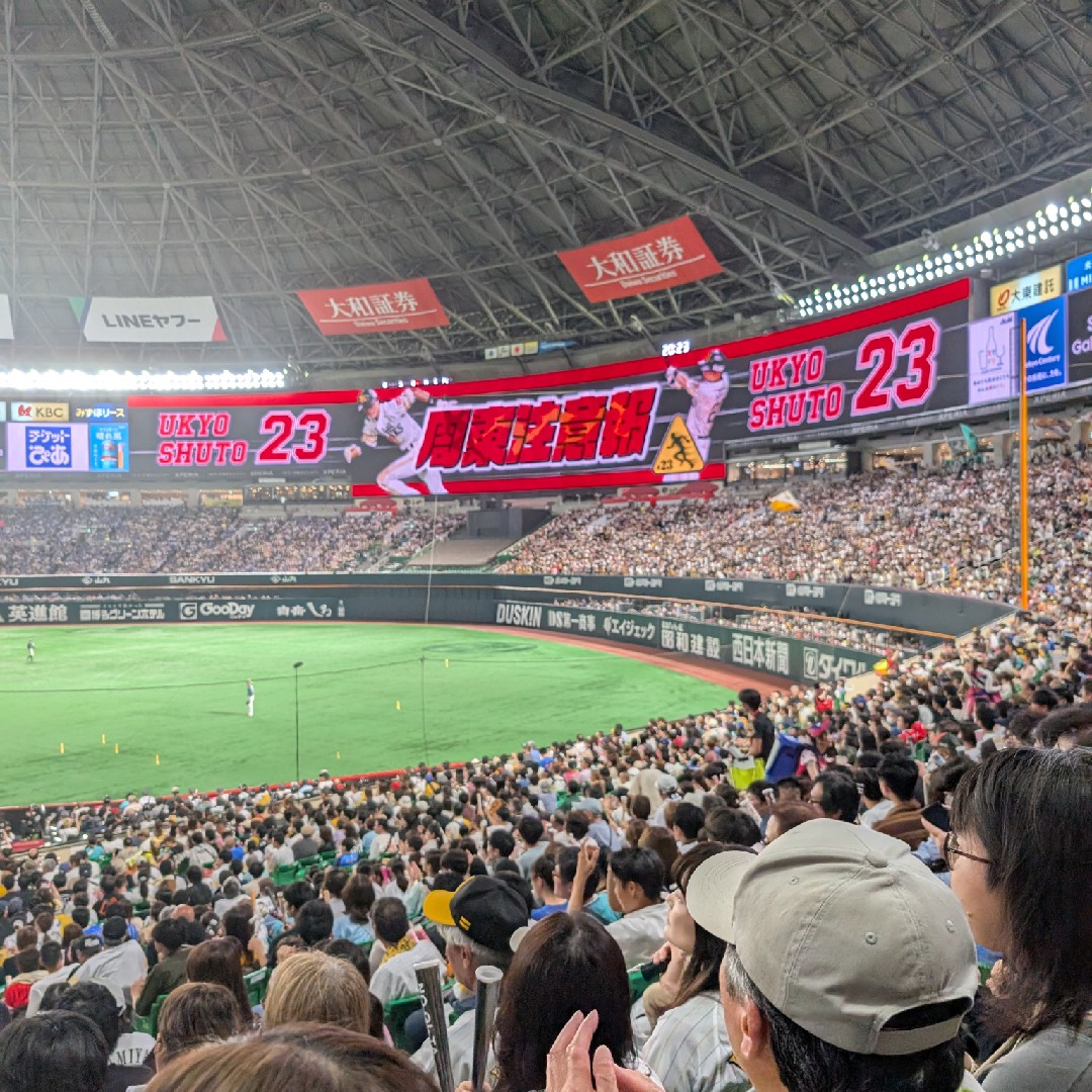 テキストの毎日更新だけでいい