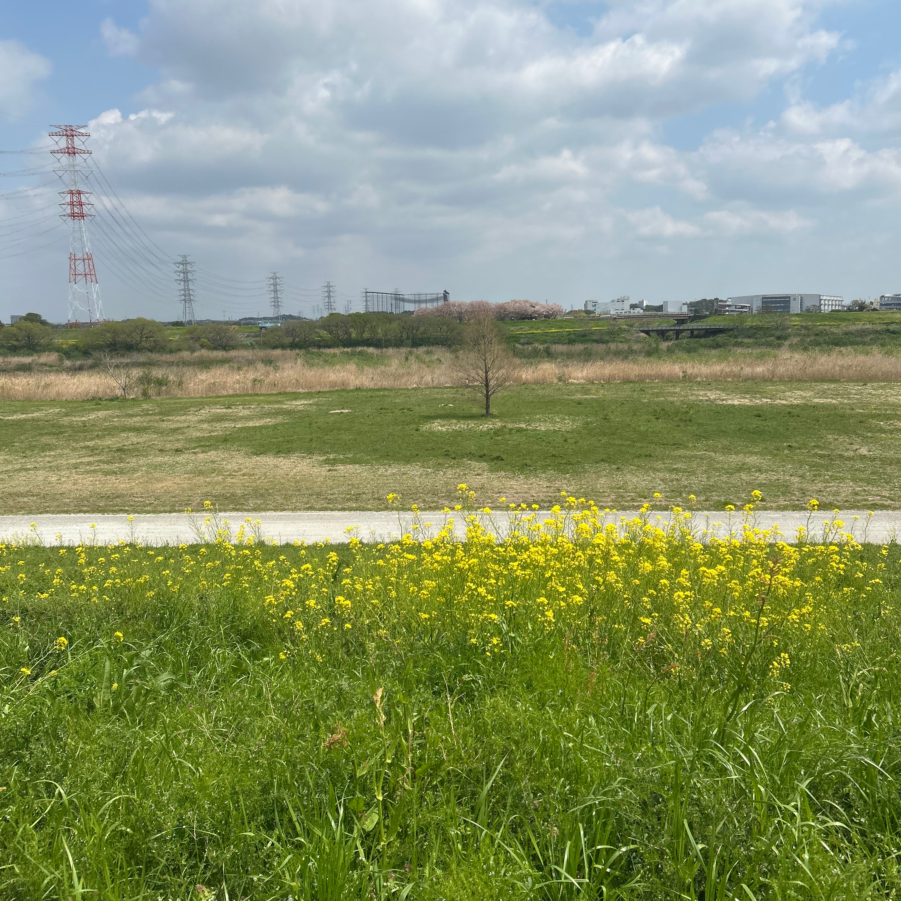 山にきまってるで🗻