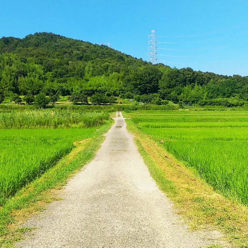 田舎