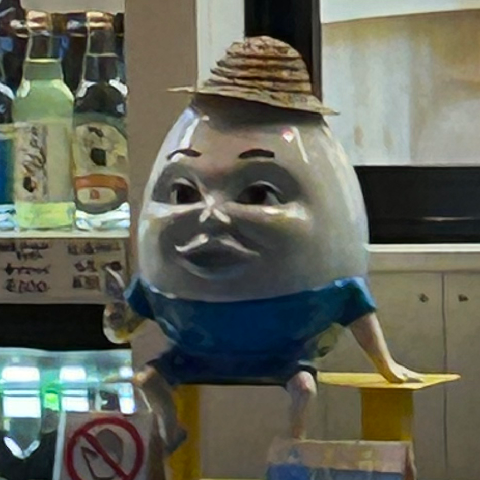 その他(コメントに書いてね)