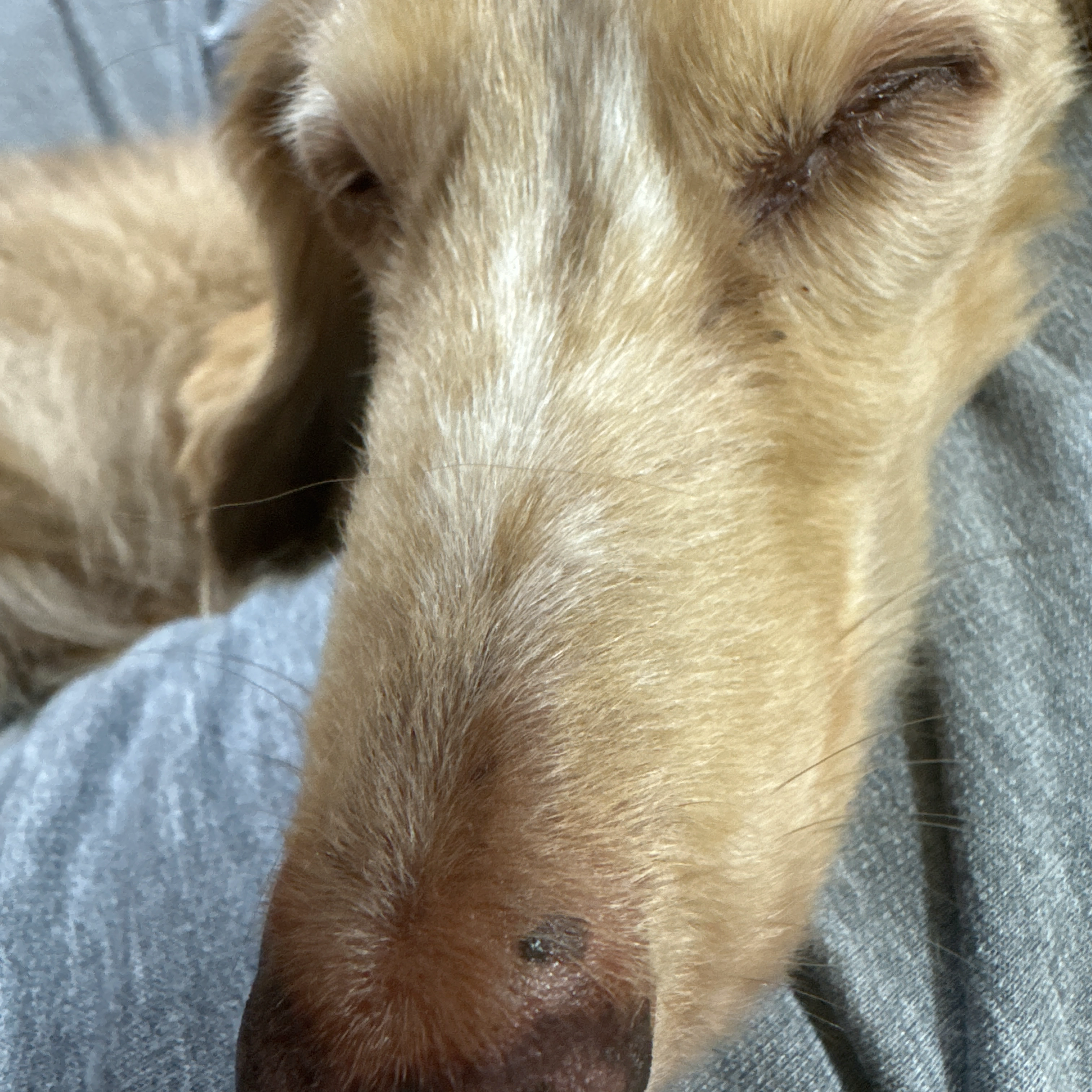 潔癖症ではない！