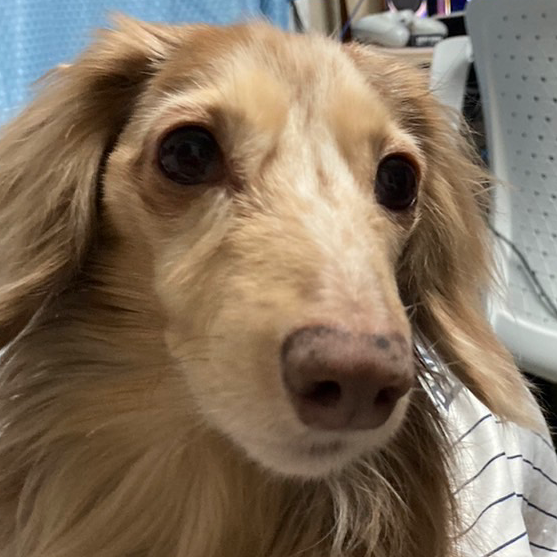 潔癖症である！