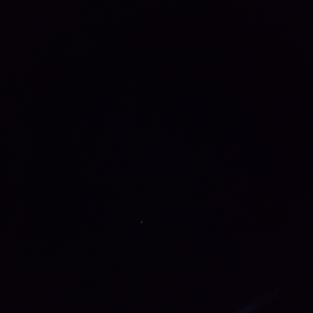 動画で見るので十分