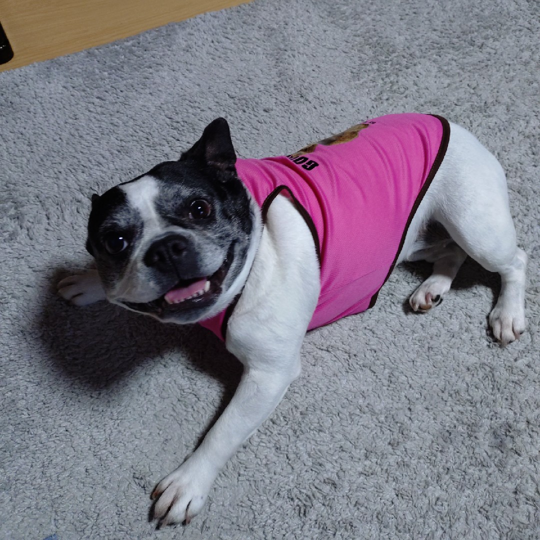 月曜日はじまり