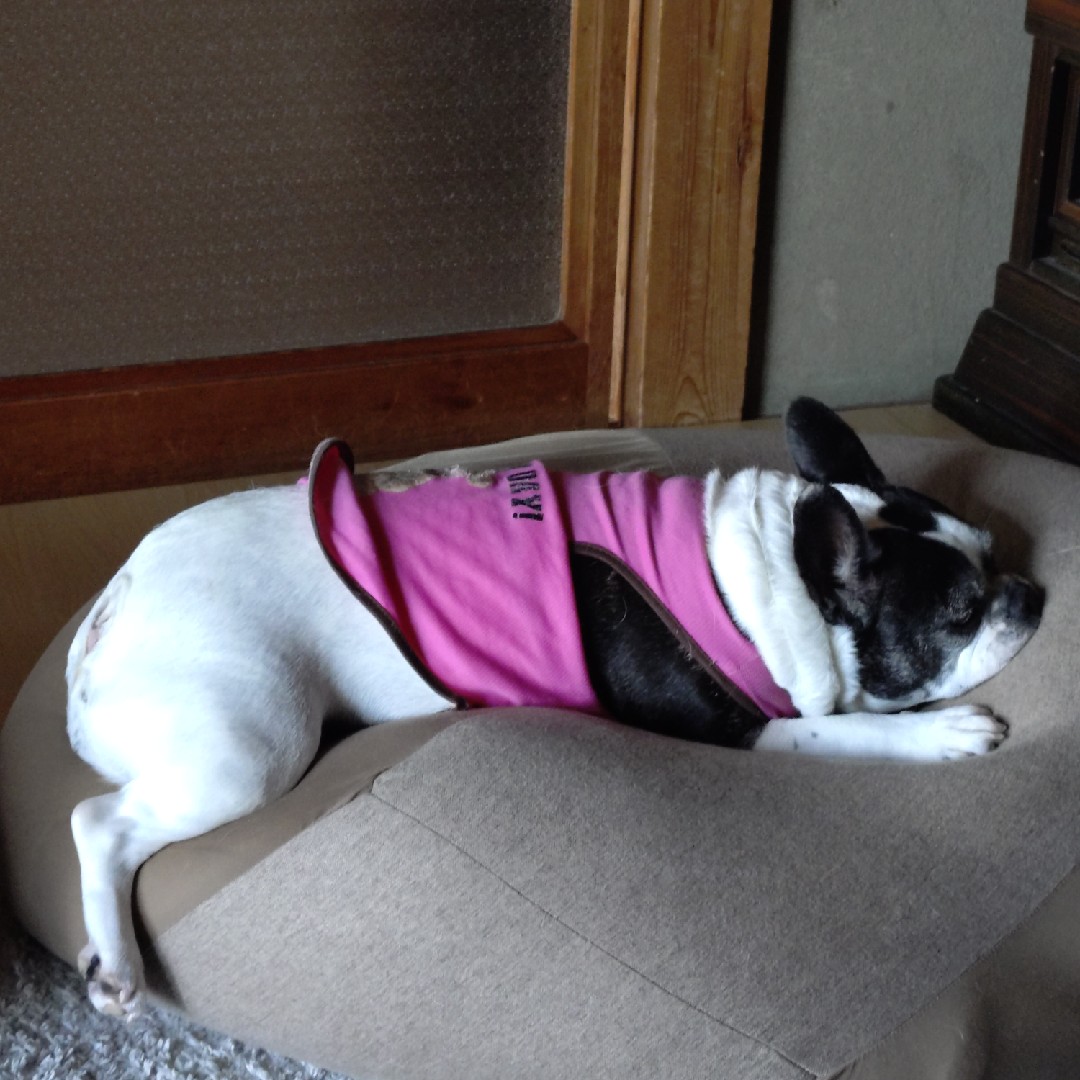 日曜日はじまり