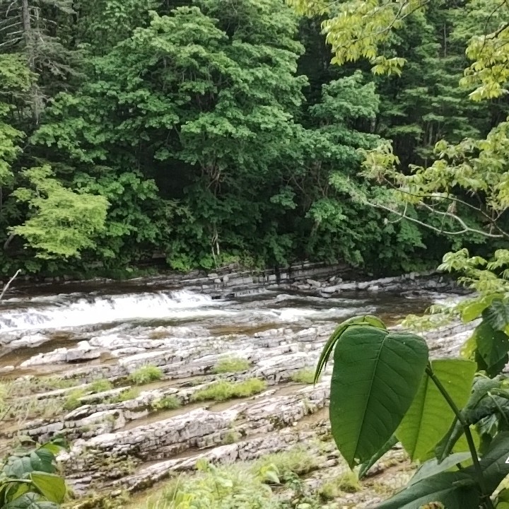 別に行ってみたくない