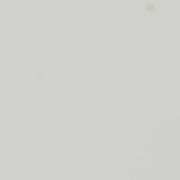 1人だけだと思う