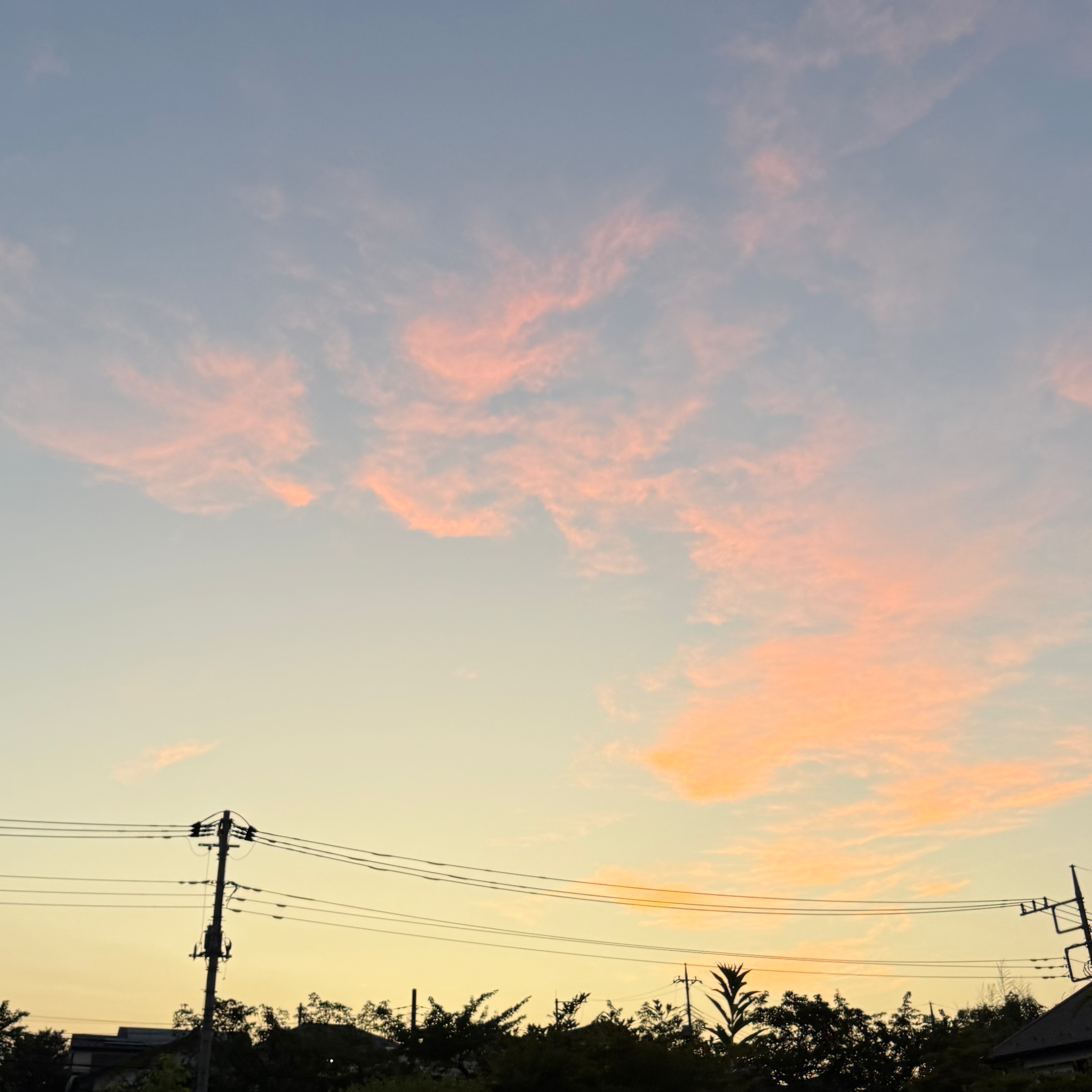 悩んで参加辞退