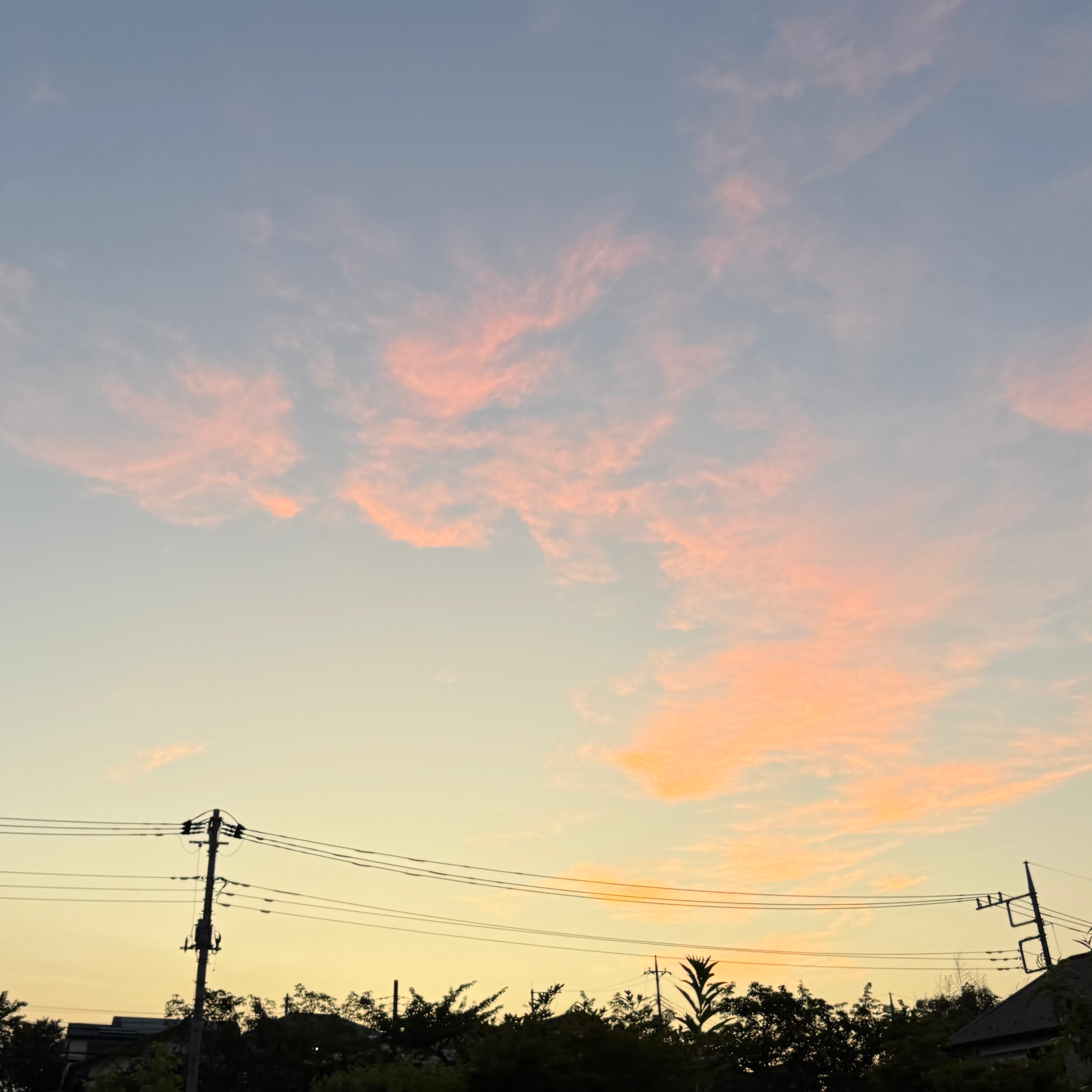 金銭面で参加辞退