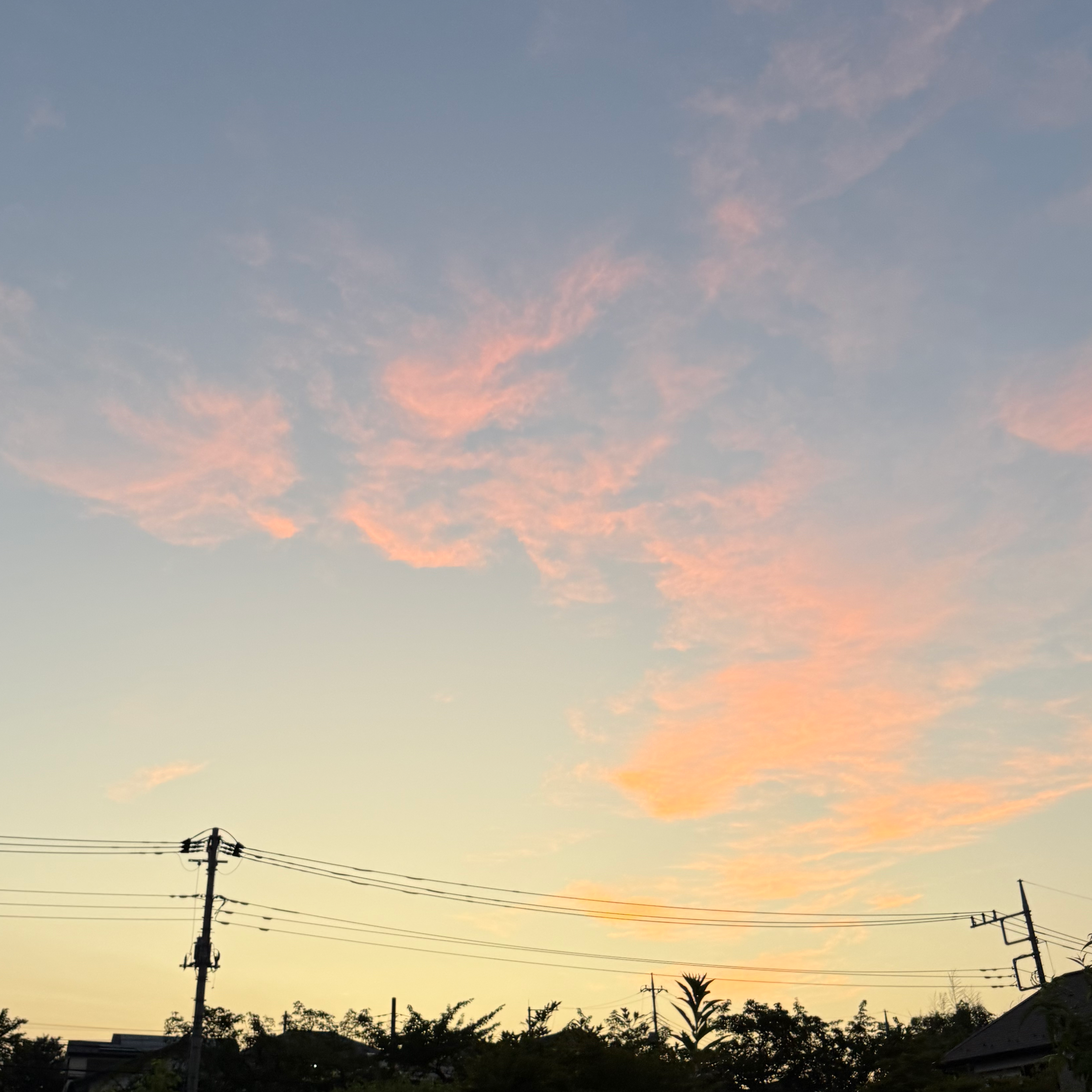 素直に参加申込