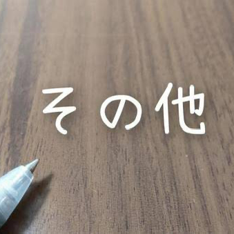 その他
