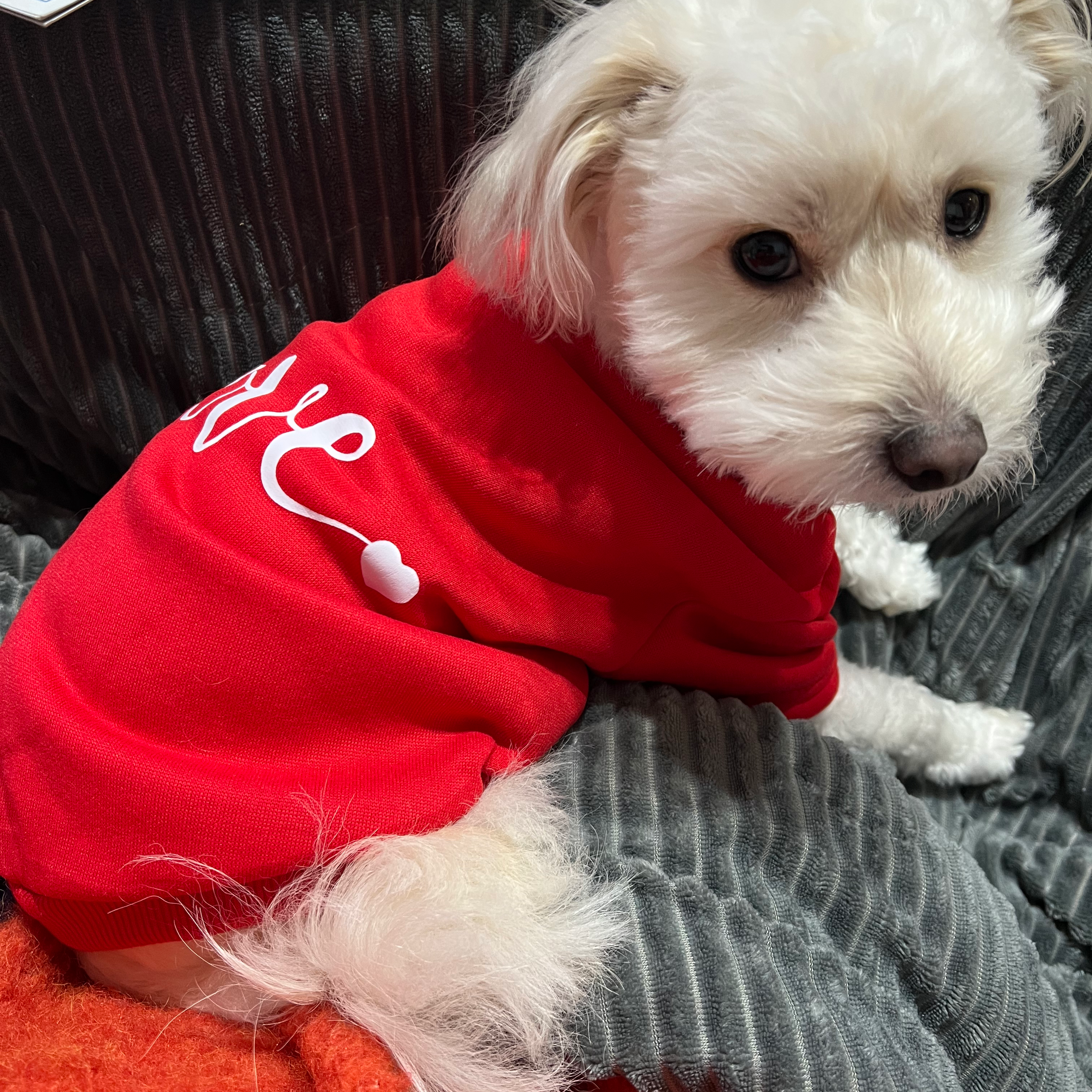 希望者にプレゼント♡(抽選)