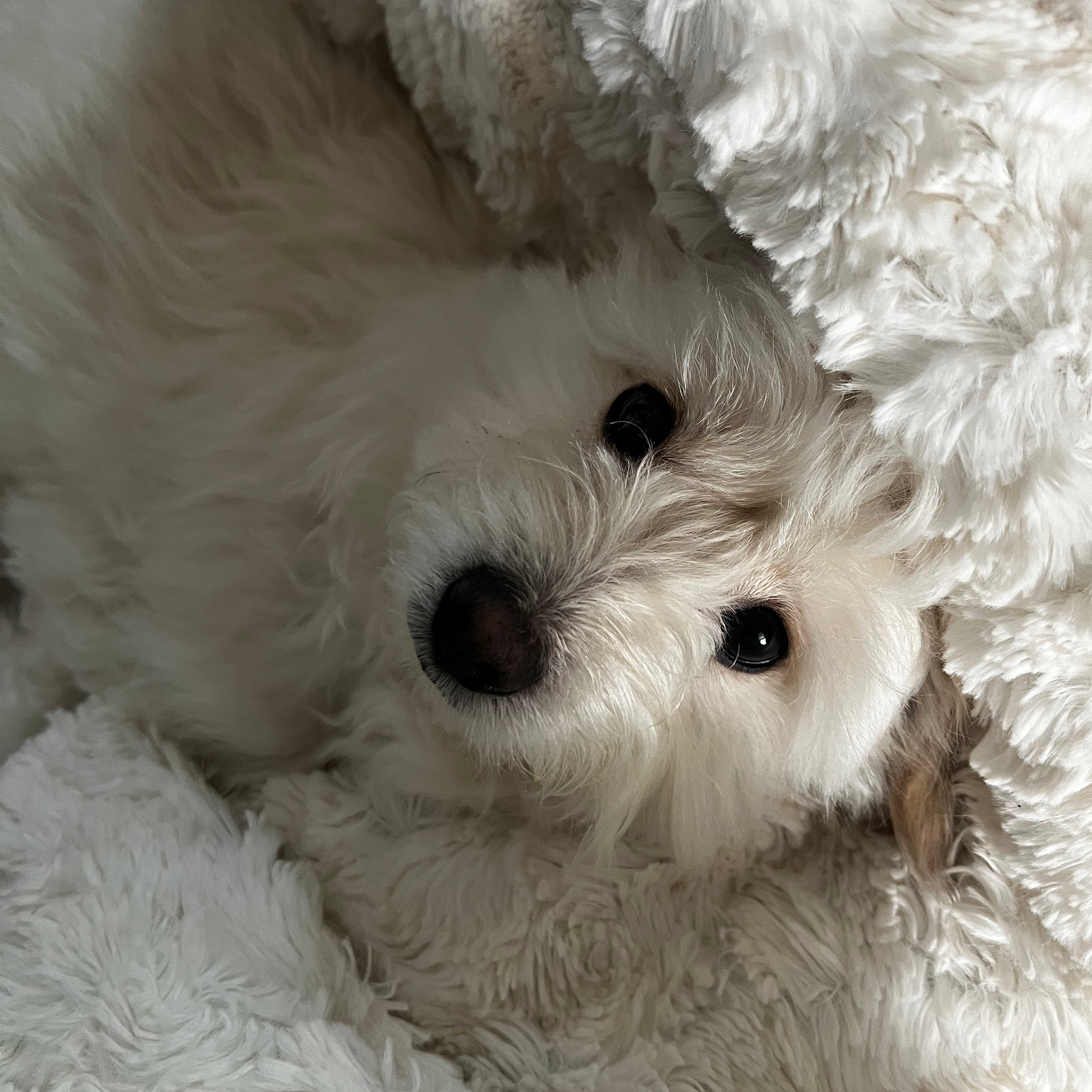 オフ会で会った人にプレゼント♡