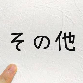 その他