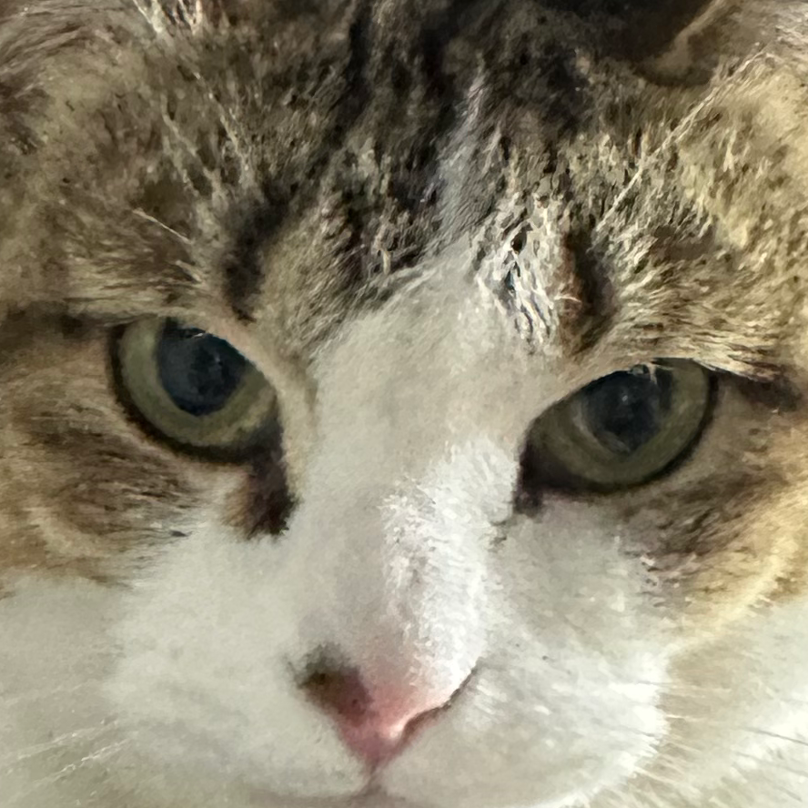 行く訳ないバカじゃないの？