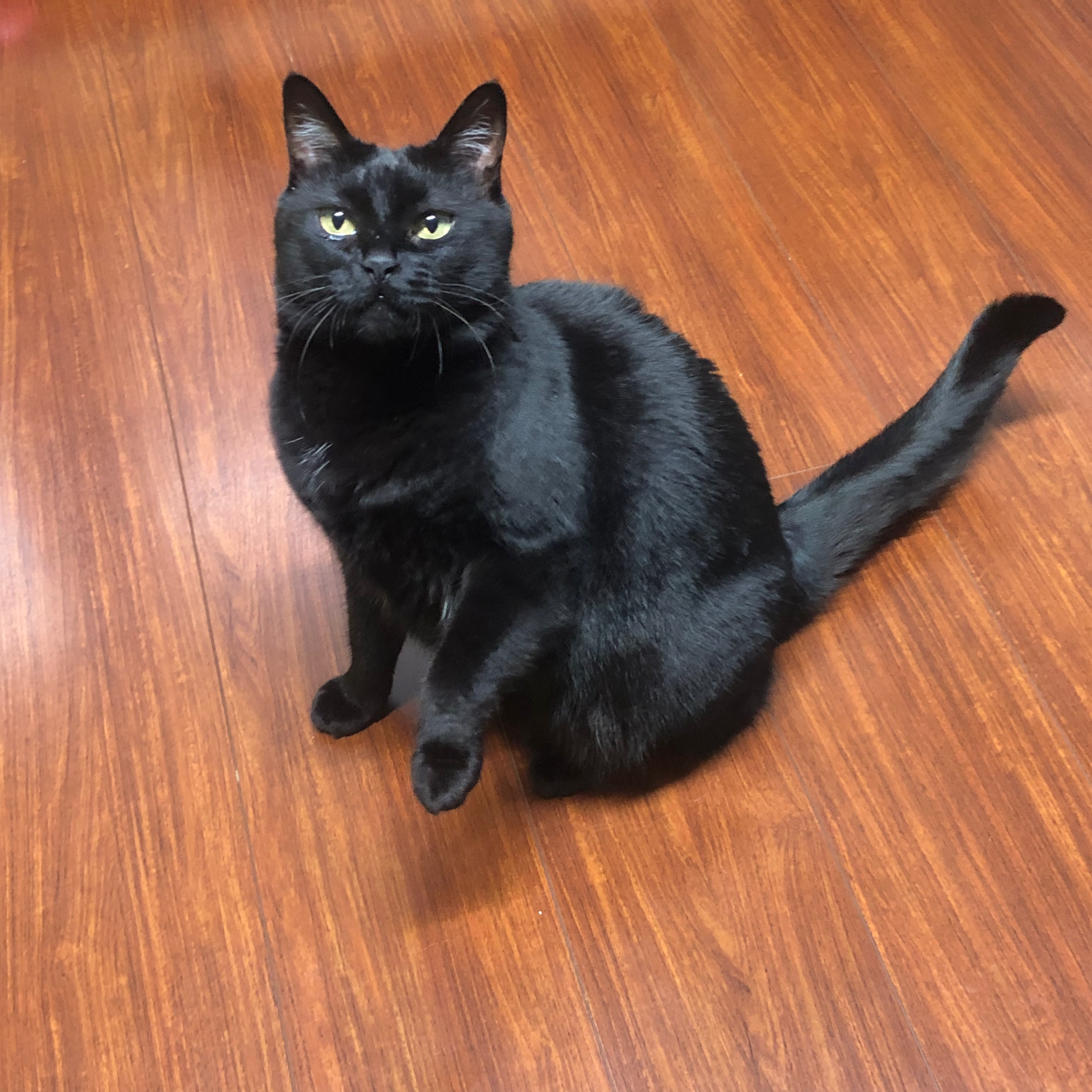 人のだからうたない