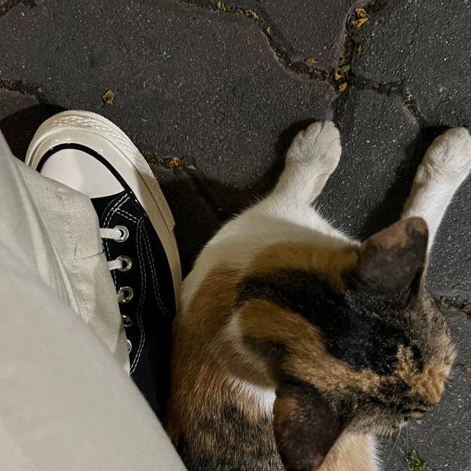 消してもいいよ