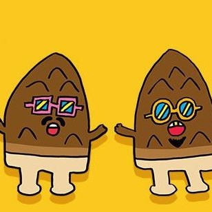 たけのこの里派