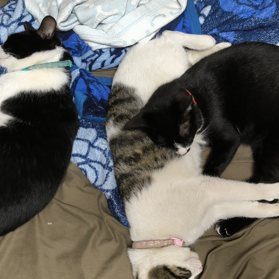 2人だけでは無理！