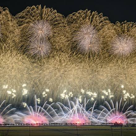 全国花火競技大会「大曲の花火」﻿
