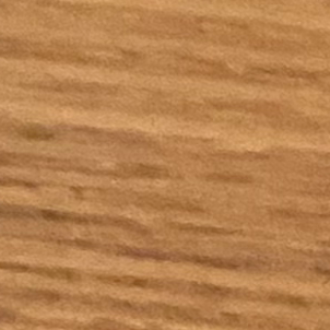 女子・その他見る専門の方