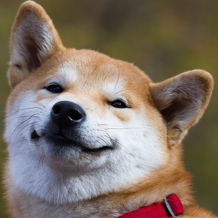 そんなもんいねーよ