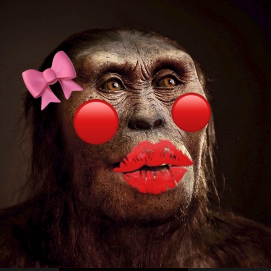 アウストラロピたけス