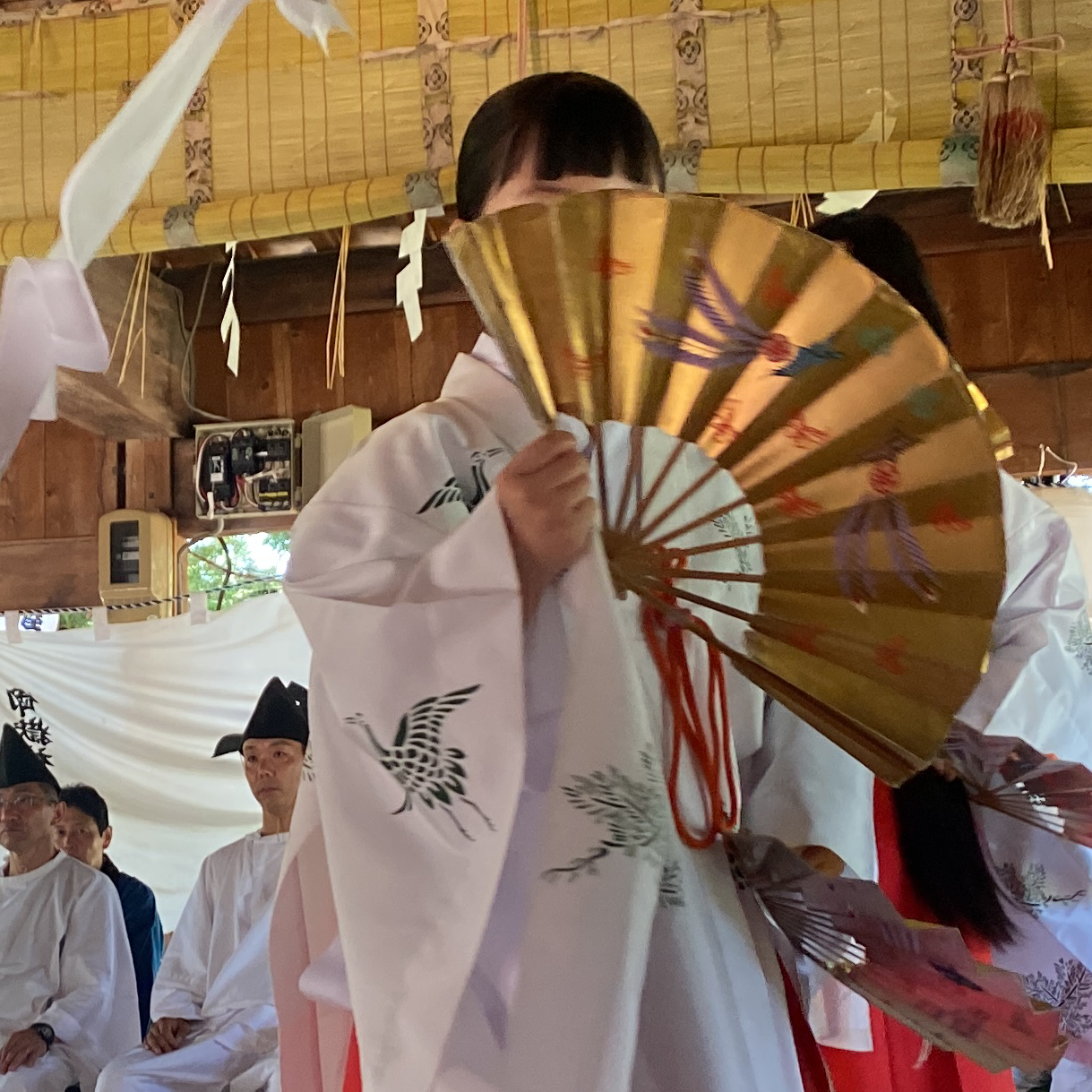 ひたすら民俗学について話す