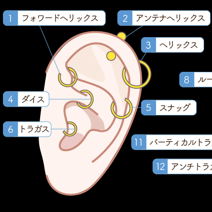 アンテナヘリックス