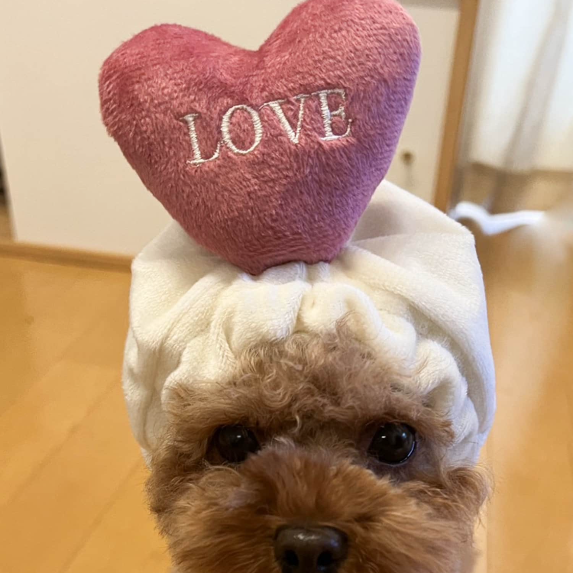 マチアプはだめだよ