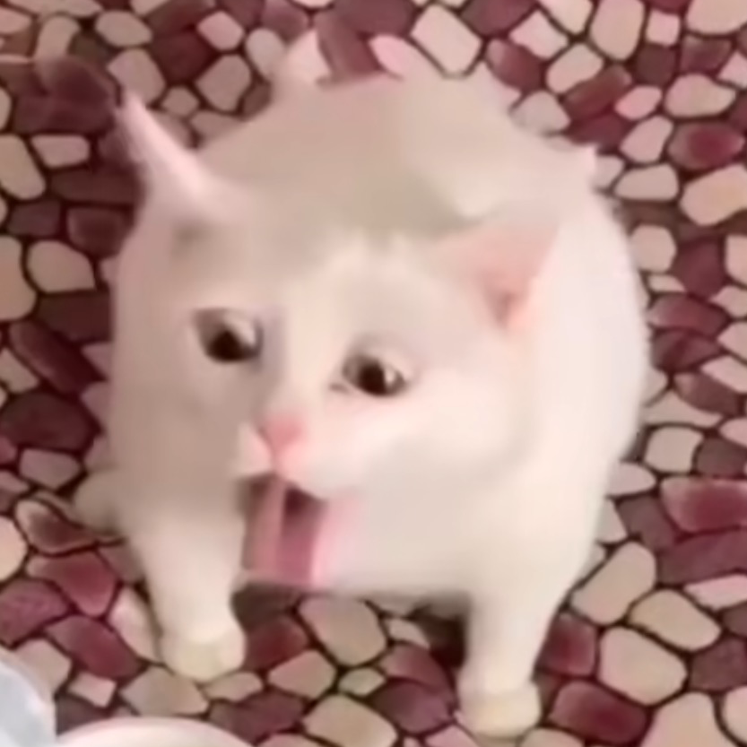 まじで嫌いの方