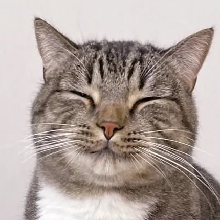 送られてくるのいいと思う！の方