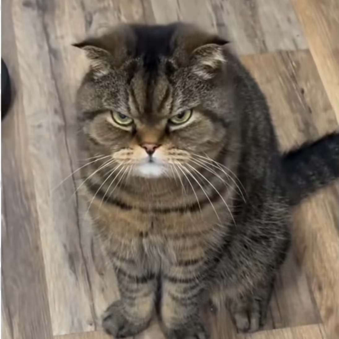 普通に話ないなら喋んなの方