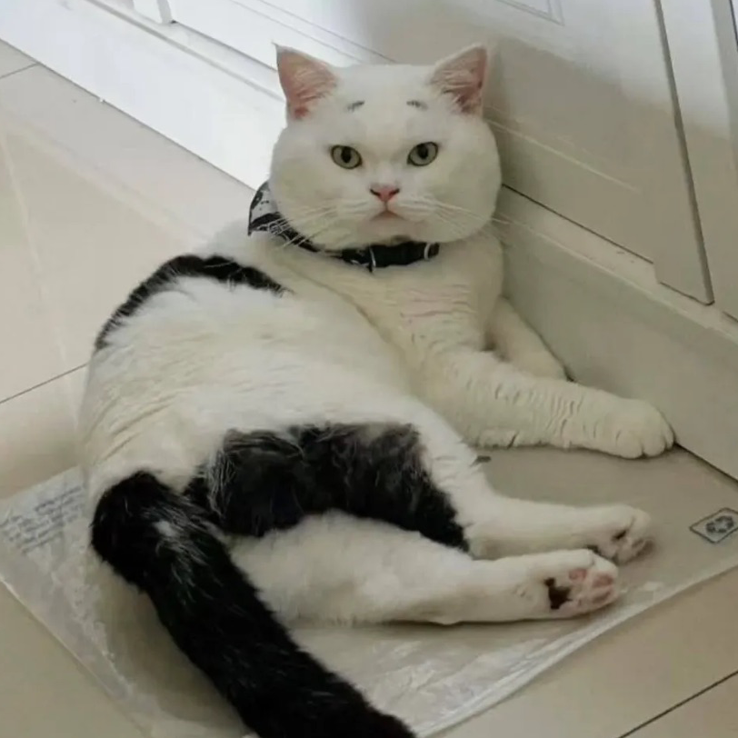 招待されたら、別にするよーの方