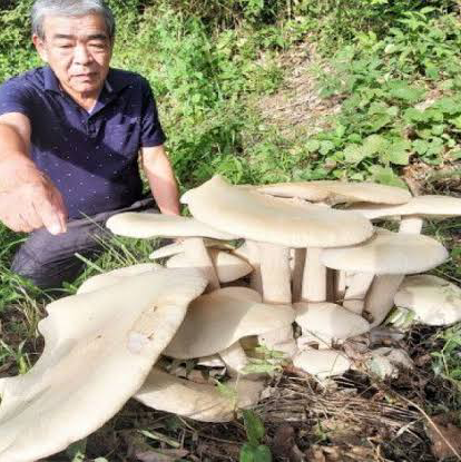 女性アーティスト縛り