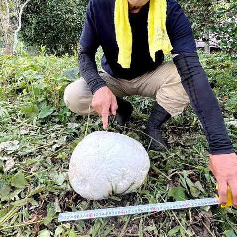 最新ヒットソング縛り