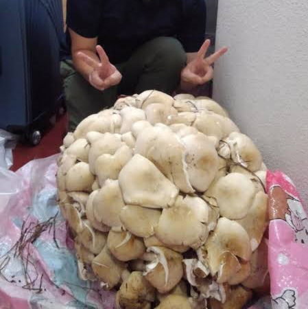 曲名に「花」or花の名前縛り