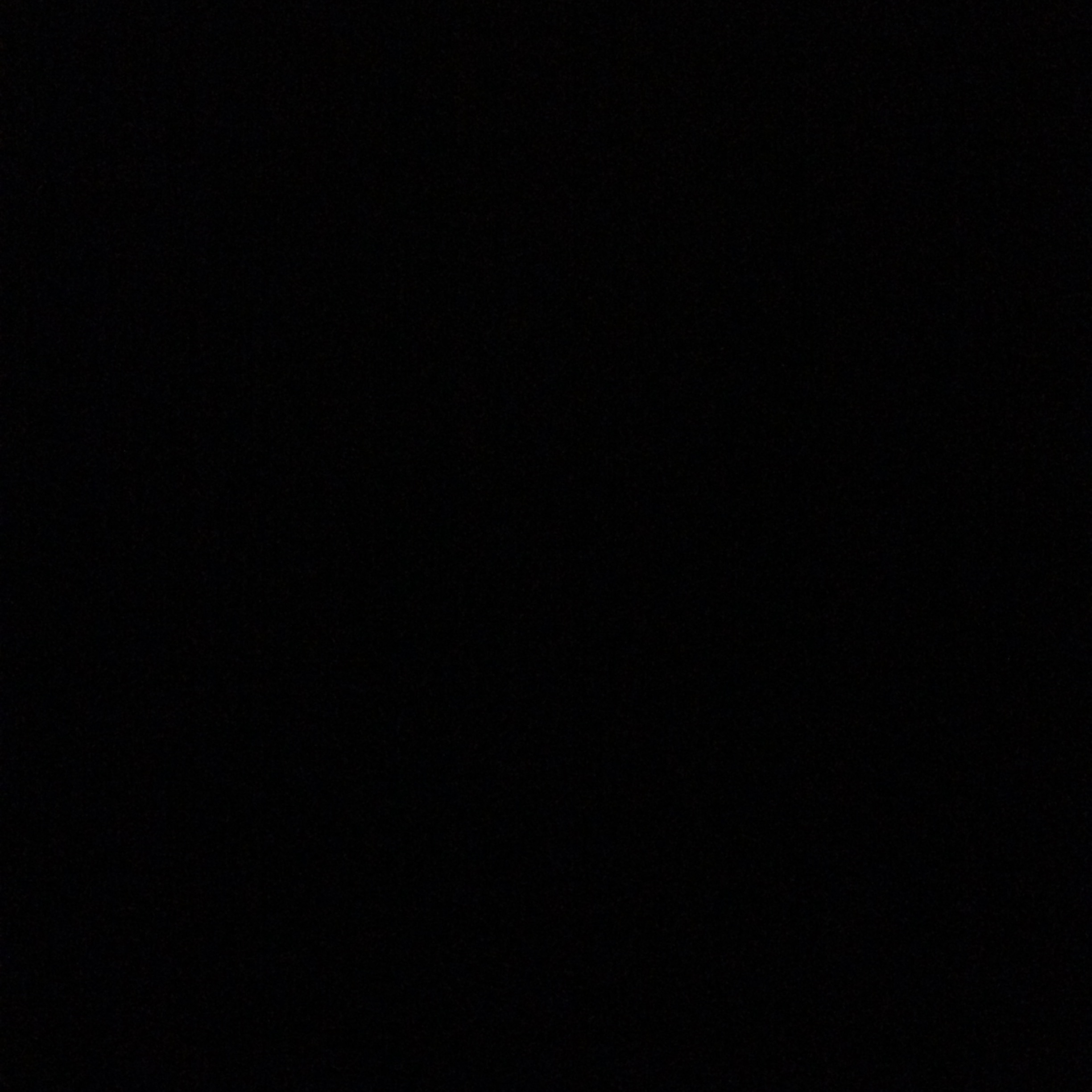 半年後に上記全てを行う