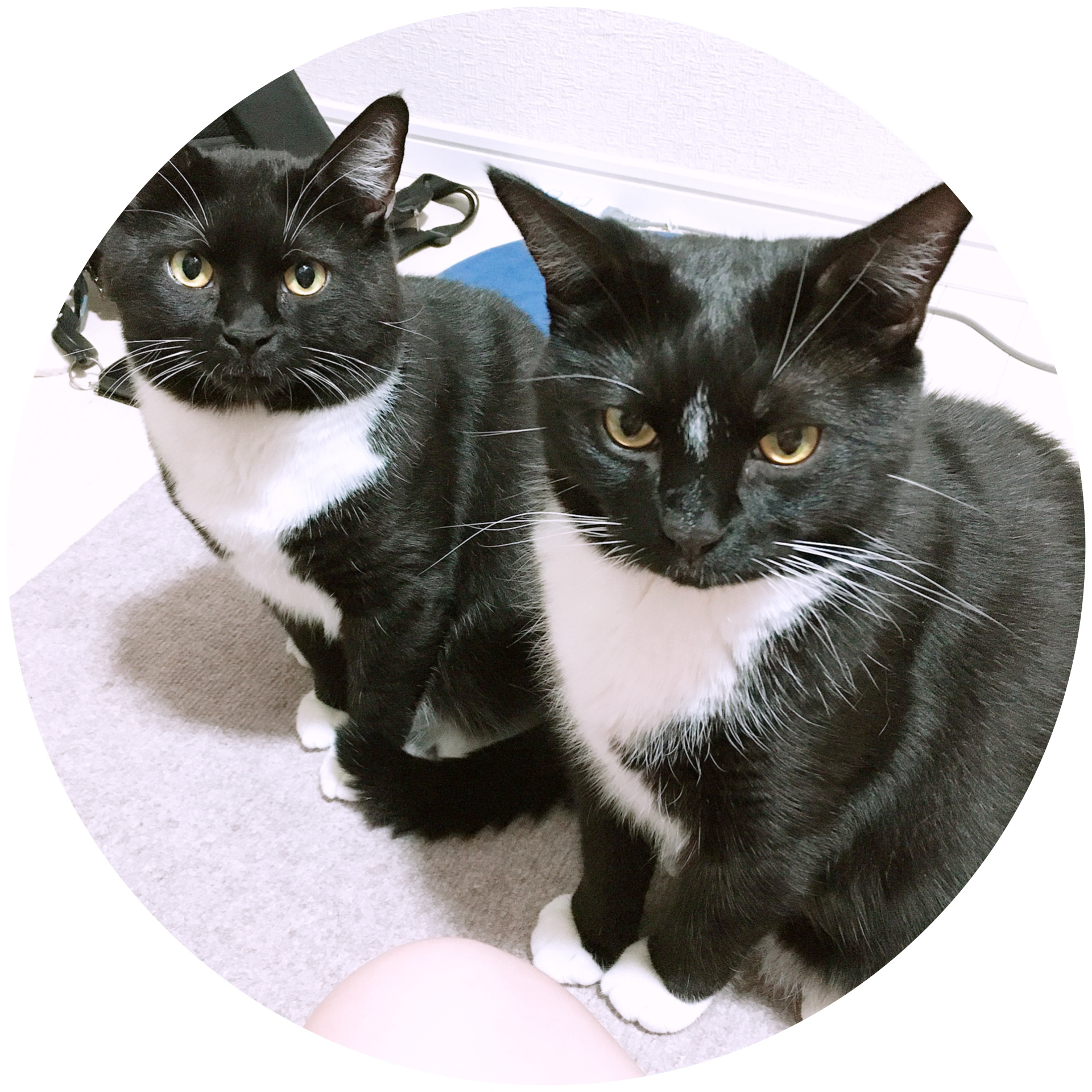 キムチ苦手ぇ〜