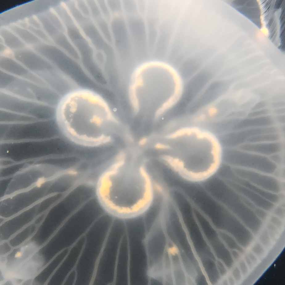 対面の方が話しやすい