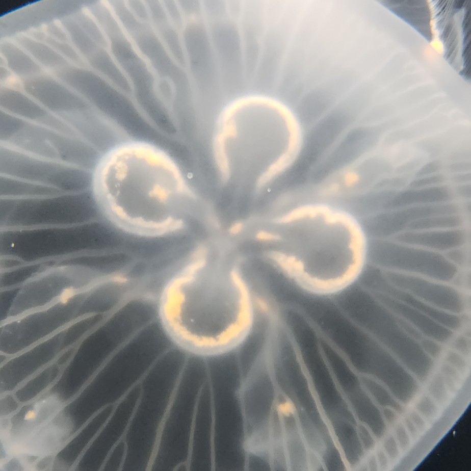 どっちもだるい話したくない