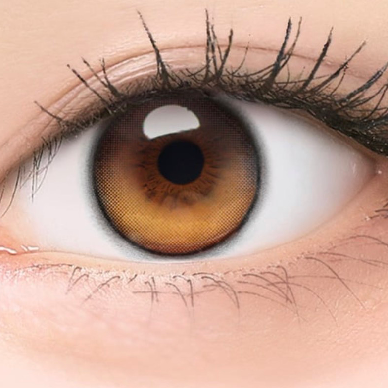 ゴールデンアワー（茶？）