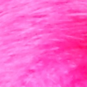 月数回！外食とかのタイミング！